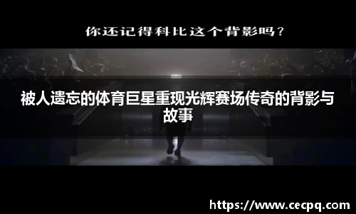 mk体育