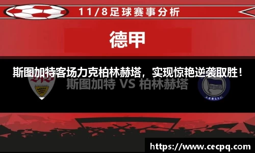 mk体育