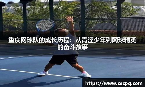 mk体育官网